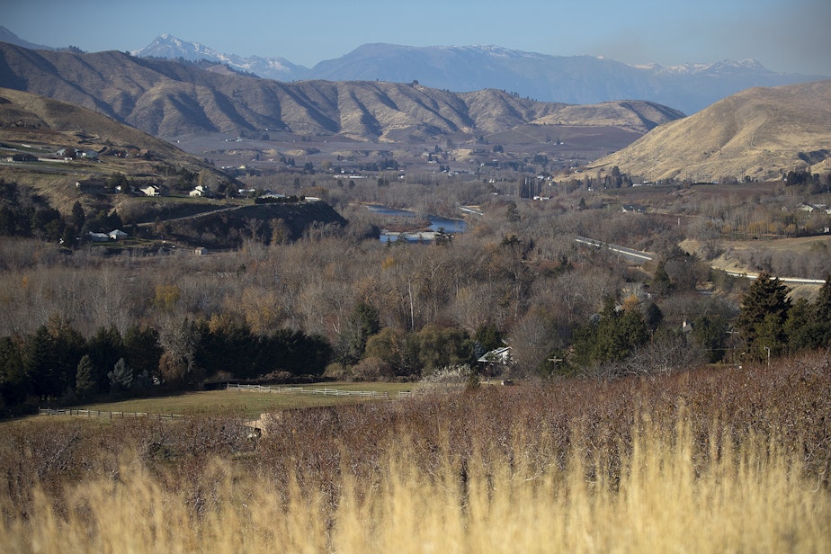 caption: Orchards are shown in the foreground of the Wenatchee Valley on Monday, November 19, 2018, in Wenatchee. KUOW Photo/Megan Farmer 