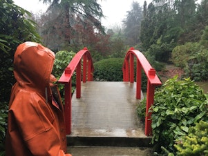 caption: Gardener Marcia High of Seattle's Kubota Garden overlooks the landscape in front of Moon Bridge.