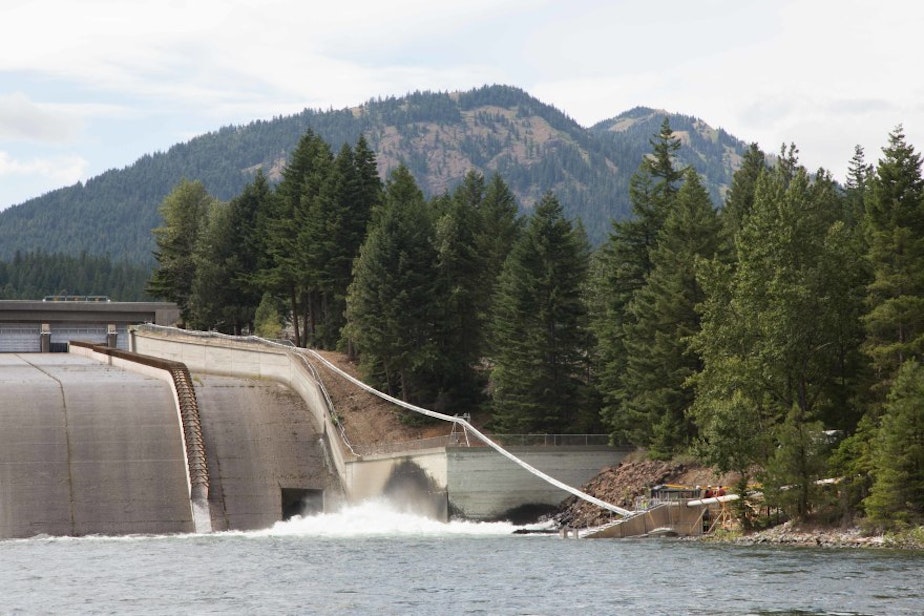 caption: A Whooshh Innovations fish passage system moves fish around Cle Elum dam.