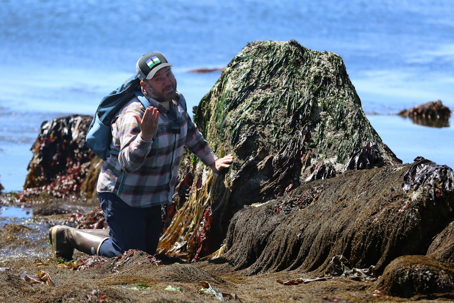caption: John Meyer, co-author of tidepool guidebook Between the Tides in Washington and Oregon and senior director for marketing and communications at the UW college of the environment, during an interview about low tide in Seattle, June 5, 2023 





