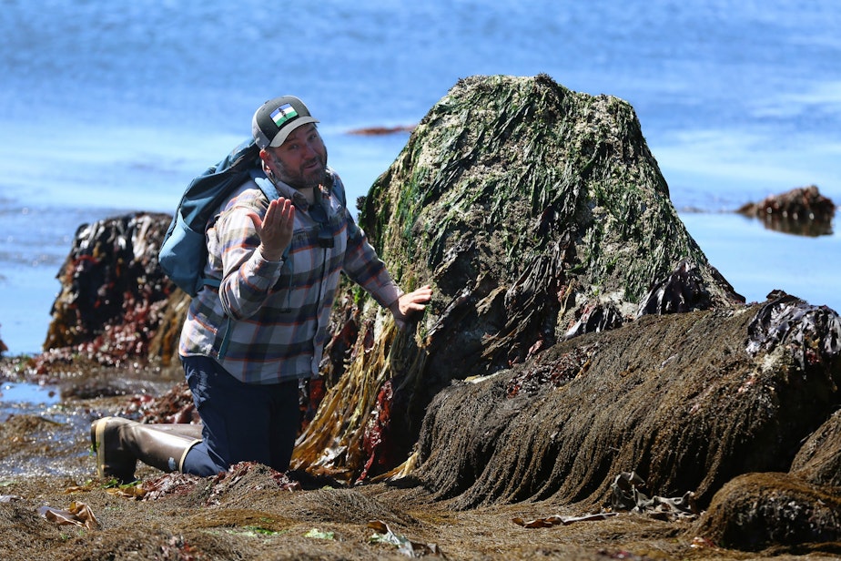 caption: John Meyer, co-author of tidepool guidebook Between the Tides in Washington and Oregon and senior director for marketing and communications at the UW college of the environment, during an interview about low tide in Seattle, June 5, 2023