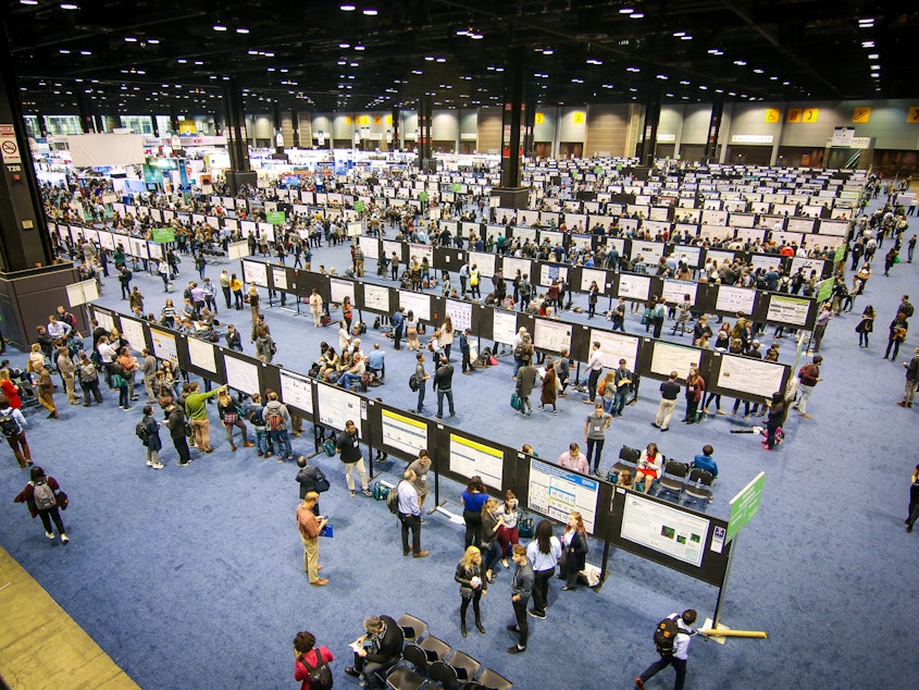 caption: At Chicago's McCormick Place, neuroscientists from around the world presented their work to colleagues. But some researchers were denied entry because of the Trump administration's travel ban.