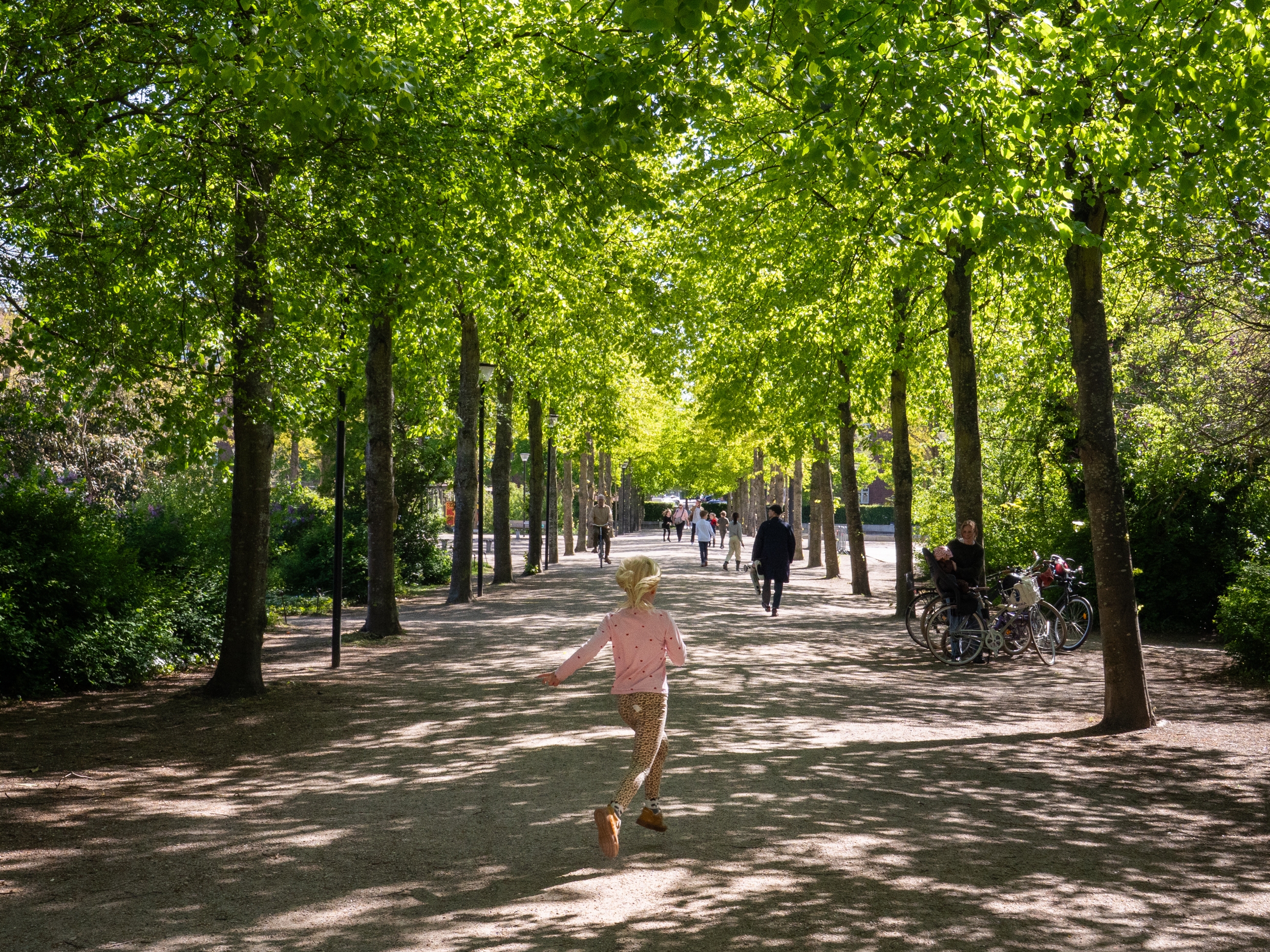 caption: Copenhagen, Denmark, is expected to receive 30% more rainfall by the end of the century. The city is responding with a massive long-term adaptation plan. Enghaveparken, pictured here, is part of that plan. The park was redesigned after a 2011 flood to be able to transform into a massive reservoir in the event of heavy rain.