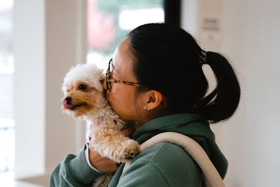 caption: Samantha Kim kisses Moose, her 10-month-old toy poodle, on Tuesday, April 1, 2025, at Coby’s Cafe in Seattle.