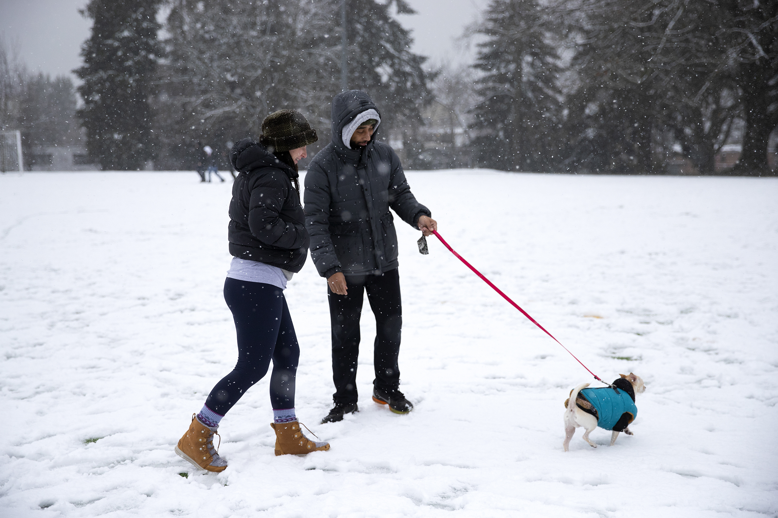 caption: Kiah Stone-Dazey, left, and Tyler Monteague, right, play with Mojo, 7, as snow falls at Hiawatha Playfield on Friday, March 13, 2026, in West Seattle. 
