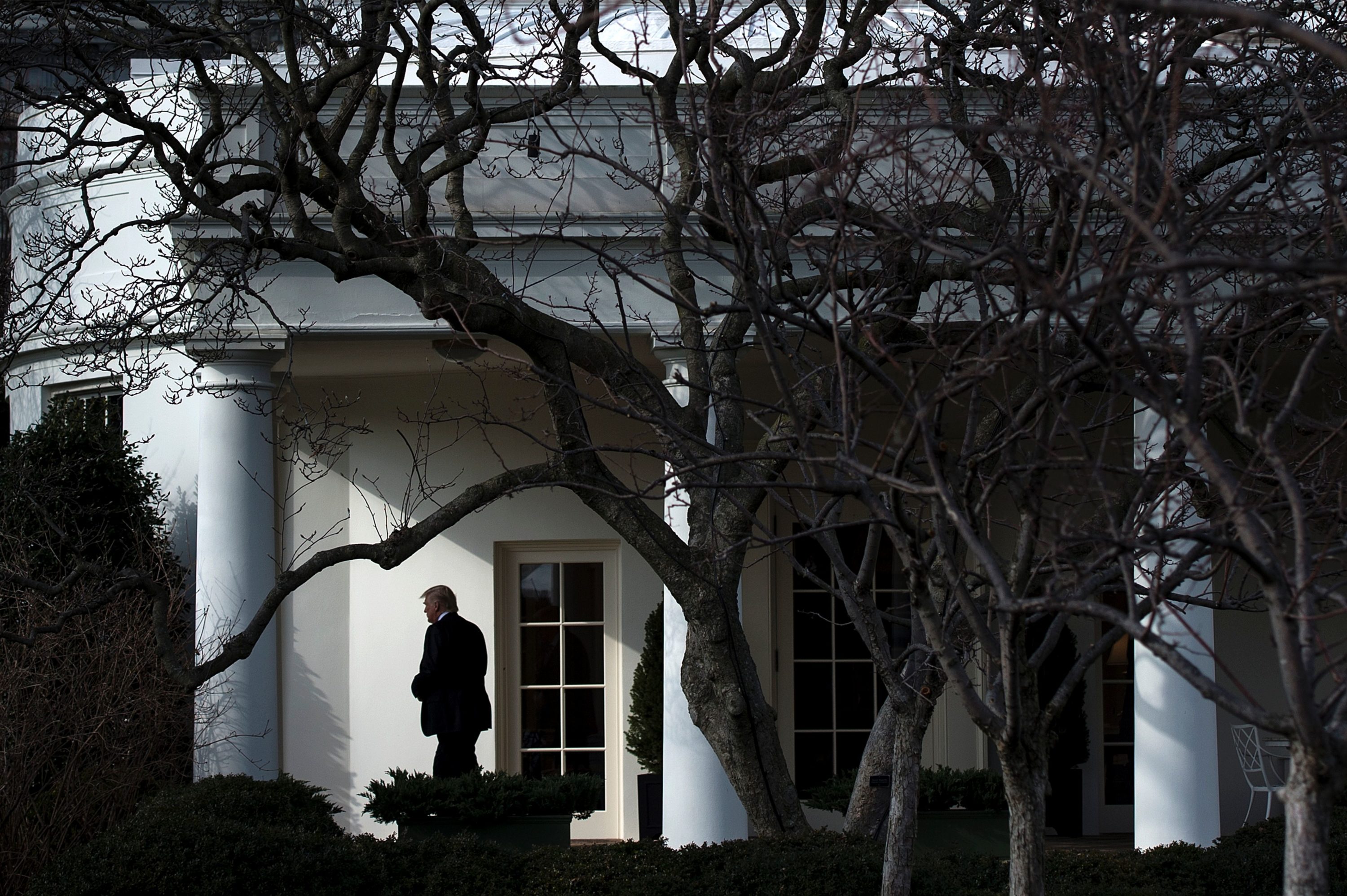 caption: President Donald Trump on the South Lawn of the White House on January 26, 2017. (Brendan Smialowski/AFP via Getty Images)