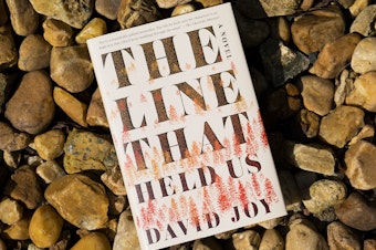cover image for The Line That Held Us by David Joy