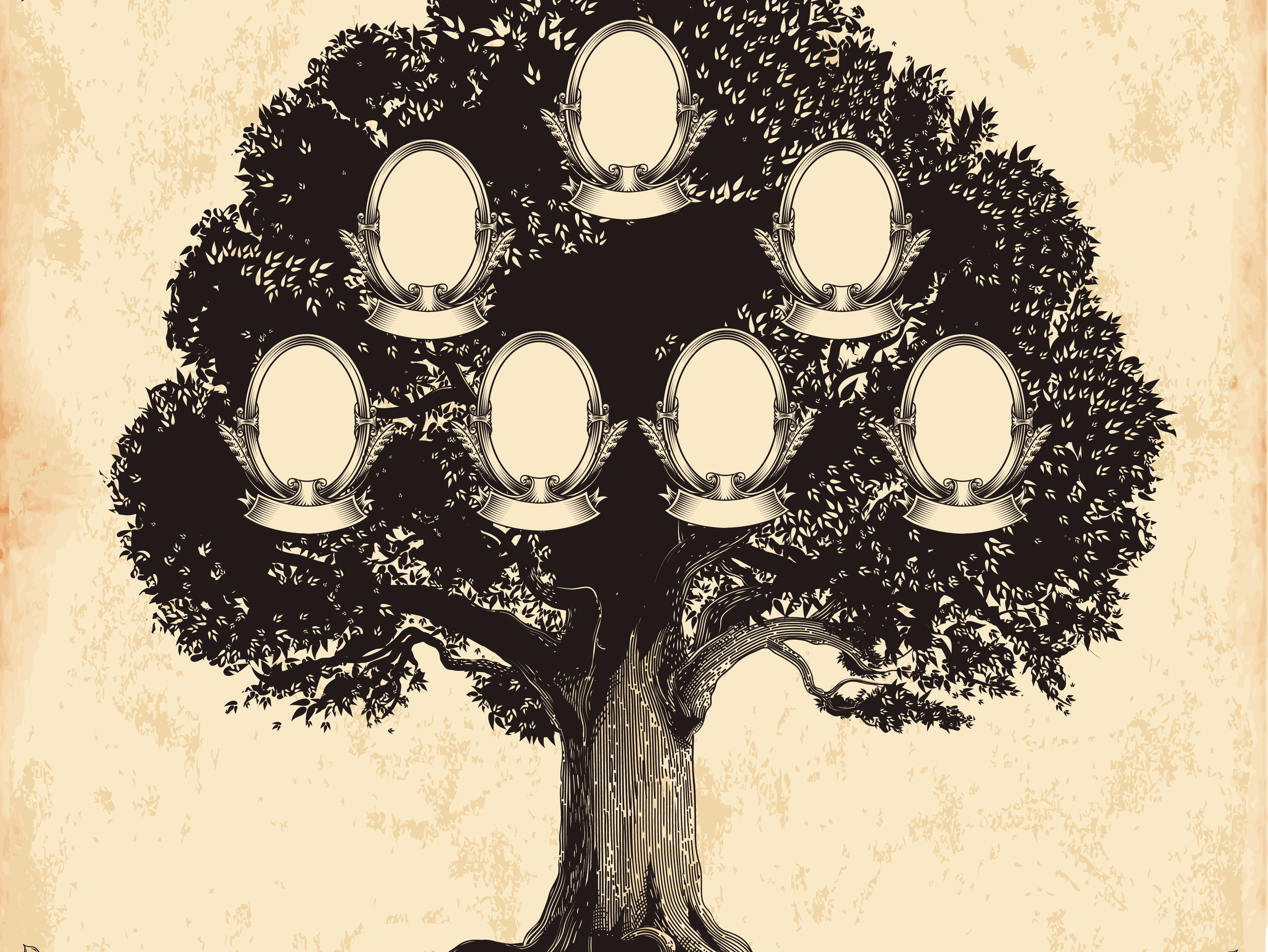 caption: All families have histories.