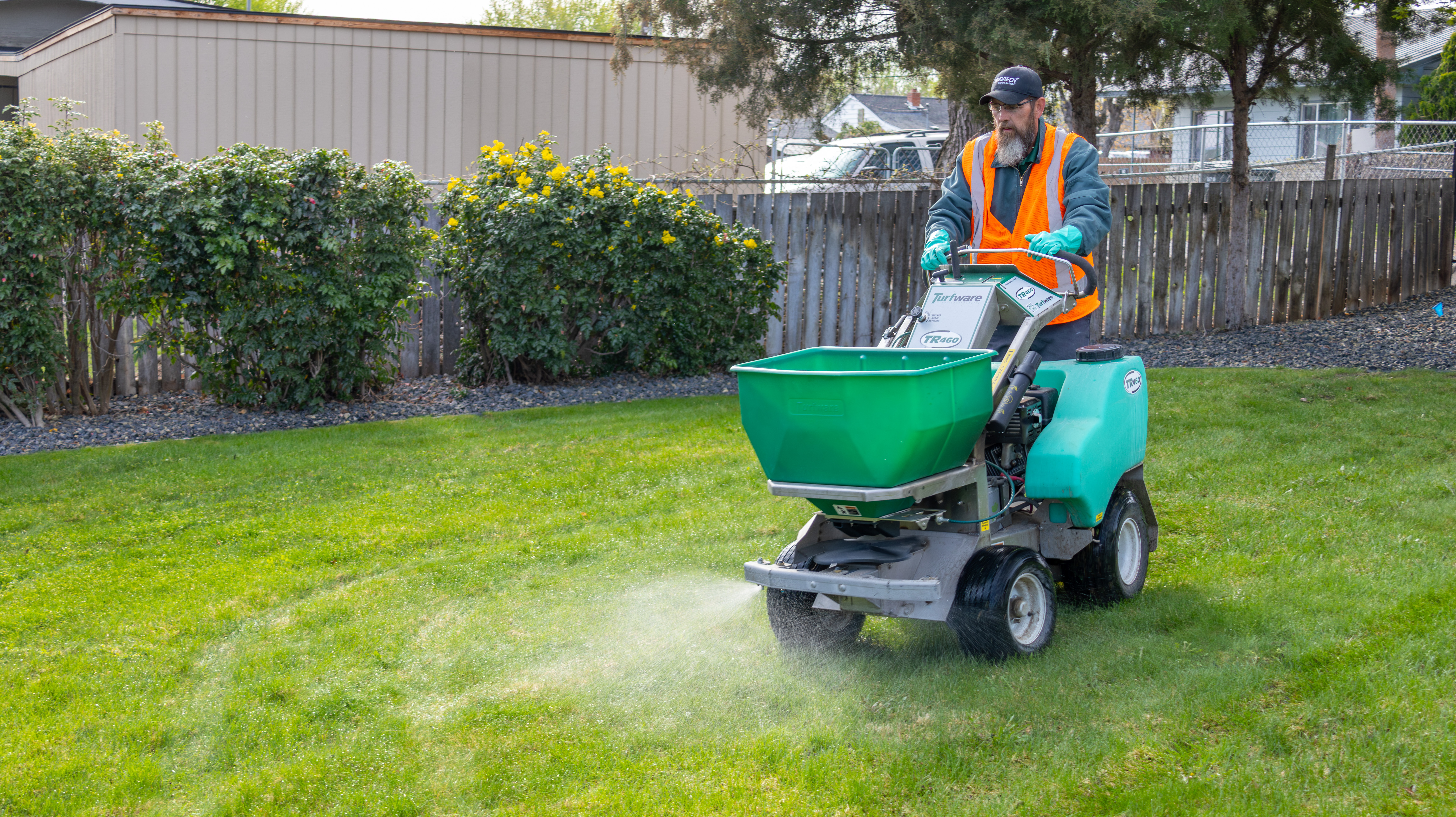 caption: A Washington State Department of Agriculture contractor sprays the pesticice Acelepryn on a lawn in Grandview, Washington, on April 12, 2024.