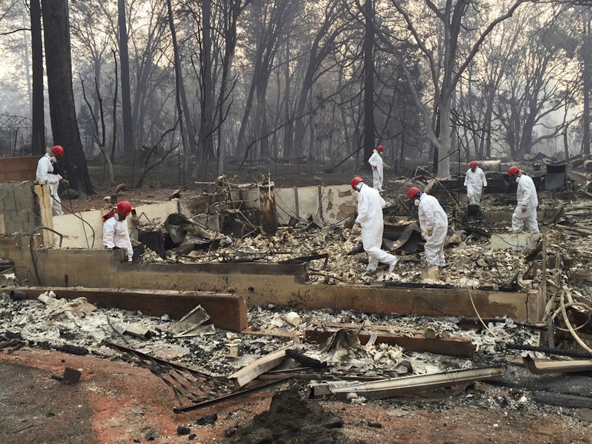 caption: Volunteer rescue workers search for human remains in the rubble of homes burned in the Camp Fire in Paradise, Calif. State officials say the fire was caused by PG&E power lines.