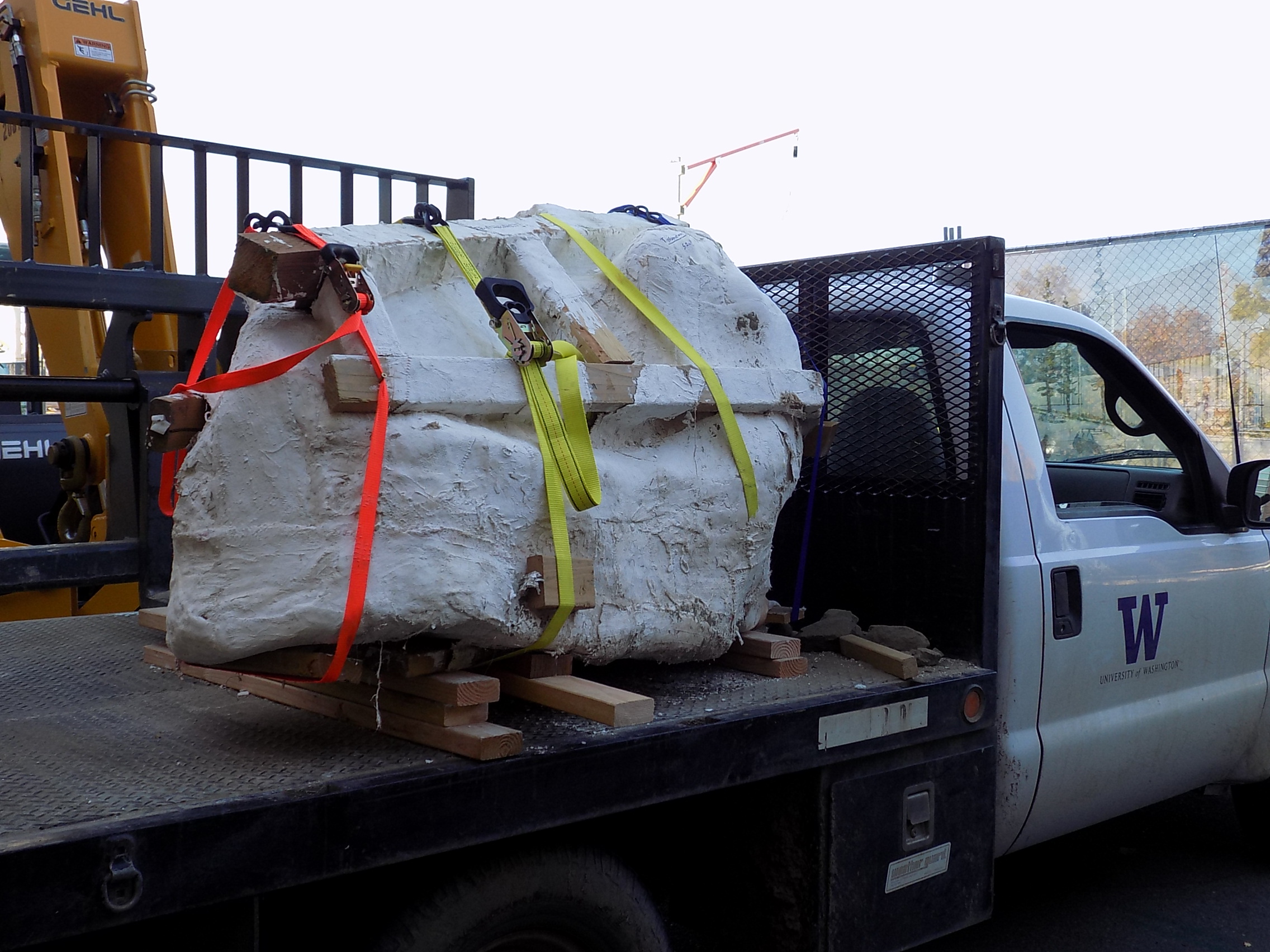 caption: The Tyrannosaurus Rex skull arrives at the Burke Museum in Seattle.