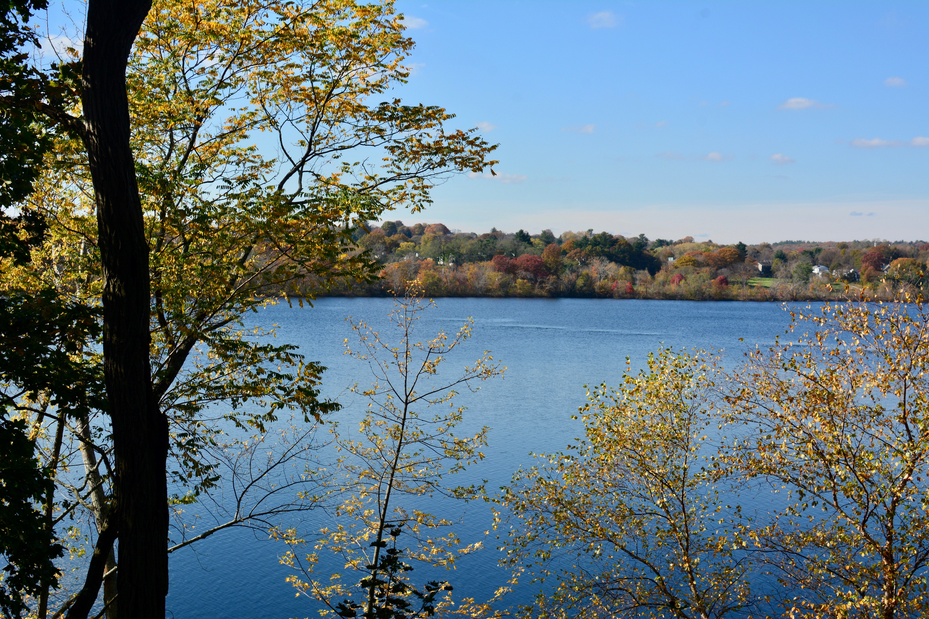 caption: Fresh Pond Reservoir in Cambridge, Massachusetts. (Photo via Shutterstock)