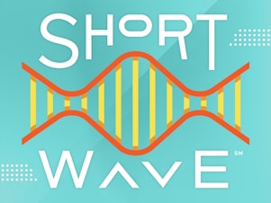 Short Wave Logo