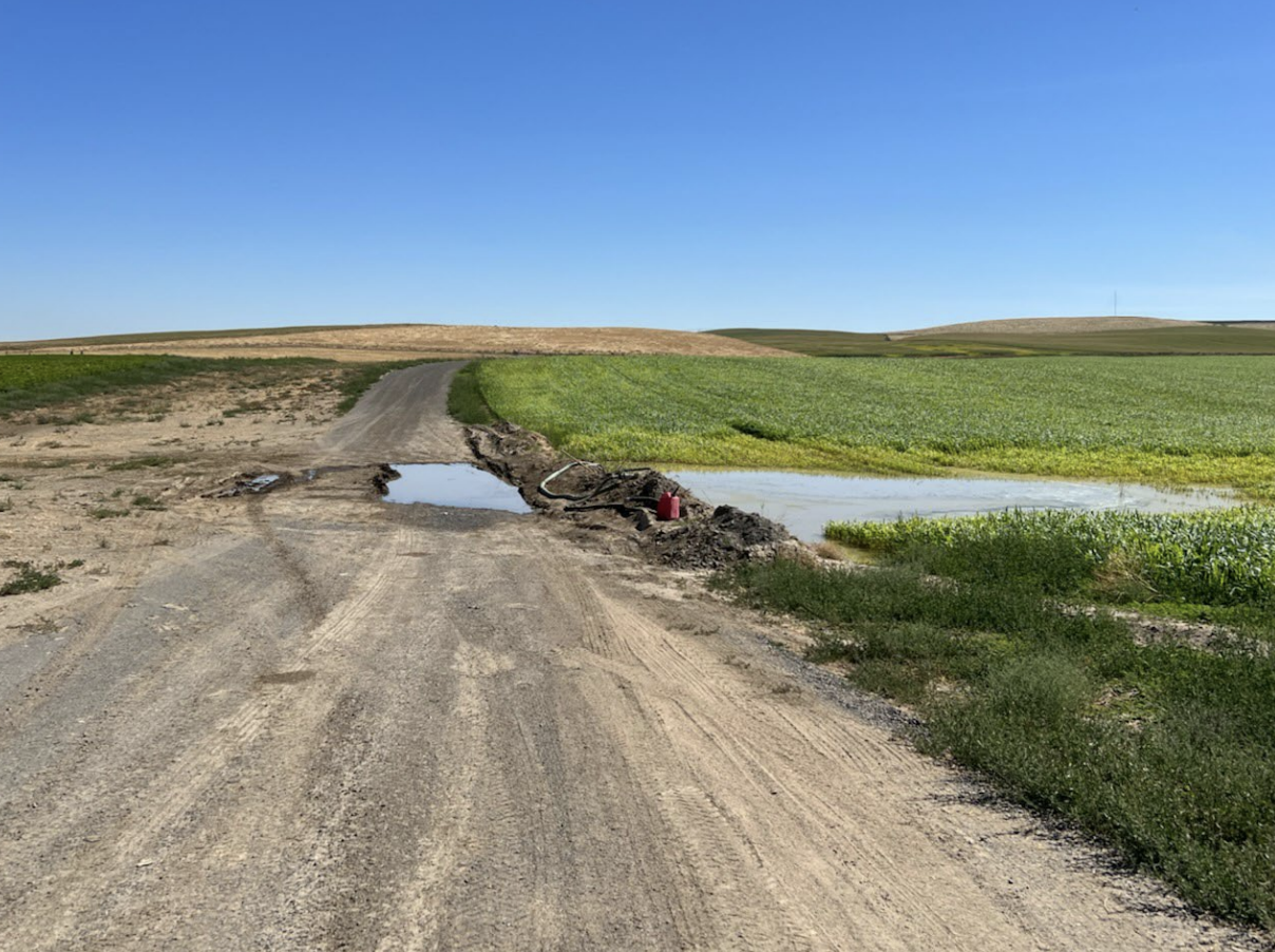 caption: This photo from a Oregon Department of Agriculture report shows water runoff on a field. Runoff events, along with fertilizer leaks, have incurred fines for Easterday Dairy.