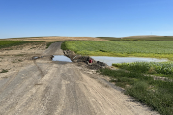 caption: This photo from a Oregon Department of Agriculture report shows water runoff on a field. Runoff events, along with fertilizer leaks, have incurred fines for Easterday Dairy.