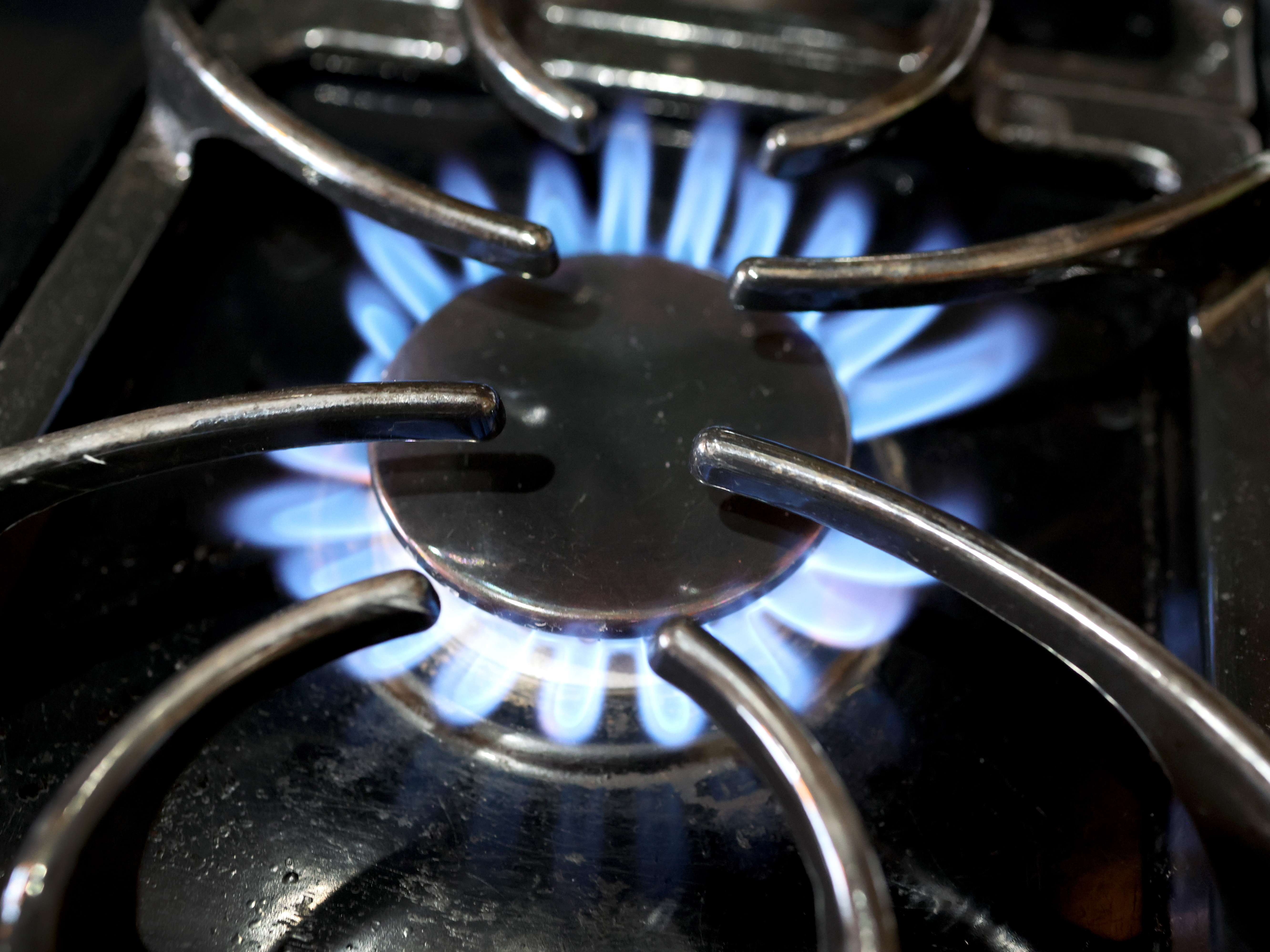 caption: Flames burn on a natural gas-burning stove on January 12, 2023 in Chicago, Illinois. New research from Stanford University show gas stoves emit benzene, which is linked to cancer.