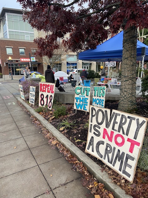 caption: Protest signs at Burien Town Square Park on Saturday, Nov. 11, 2023.