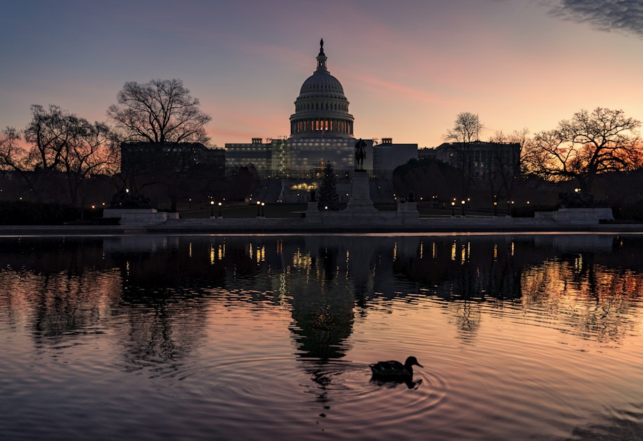caption: The U.S. Capitol is seen in Washington, D.C., early Dec. 14, 2022.