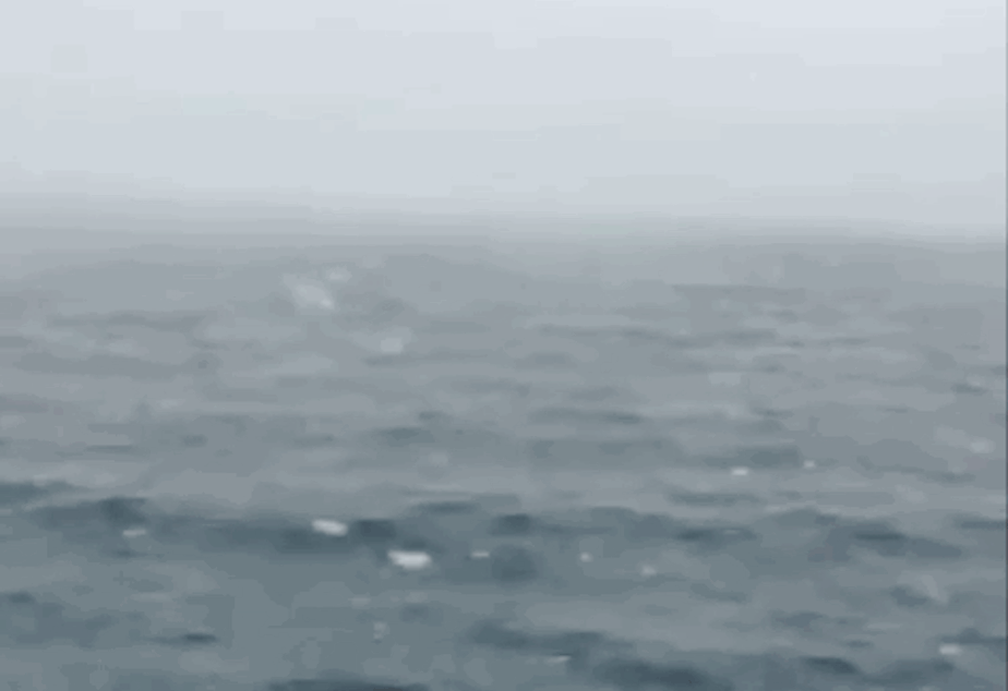 Kuow Seattle So Pretty In Snow Photos You Shared With Us