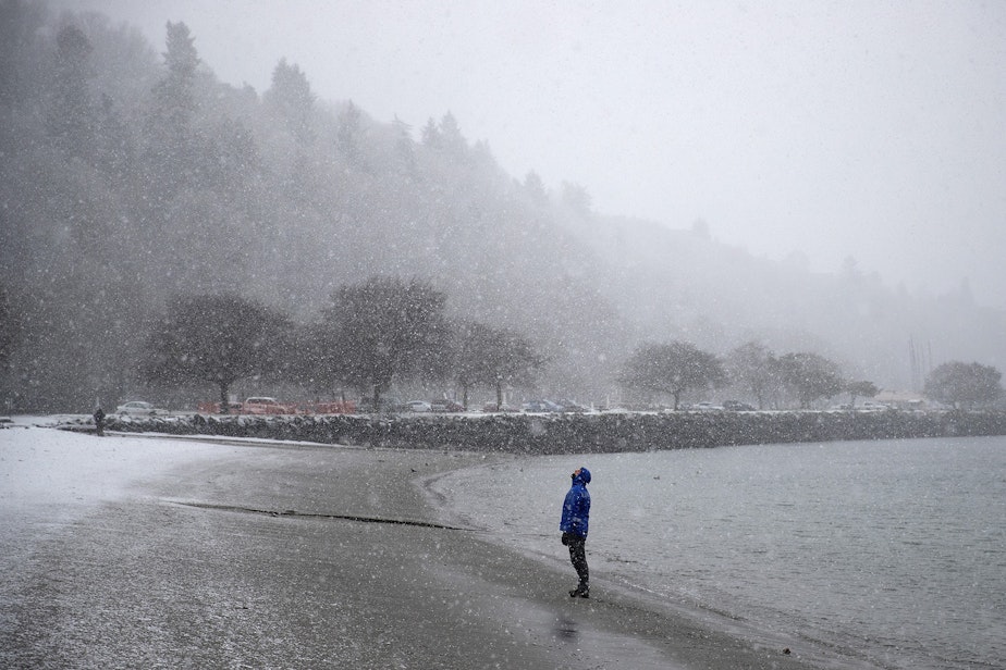 caption: Scott Goodall looks toward the falling snow while walking along the beach on Wednesday, January 15, 2020, at Golden Gardens Park in Seattle. 