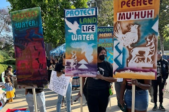 caption: Activists protested what would be the country's largest lithium mine outside federal court in Pasadena, Calif. Tuesday.