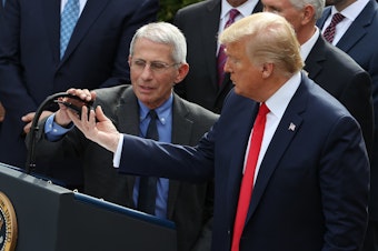 caption: President Trump and Dr. Anthony Fauci answered questions about coronavirus response in a Rose Garden news conference on Friday.