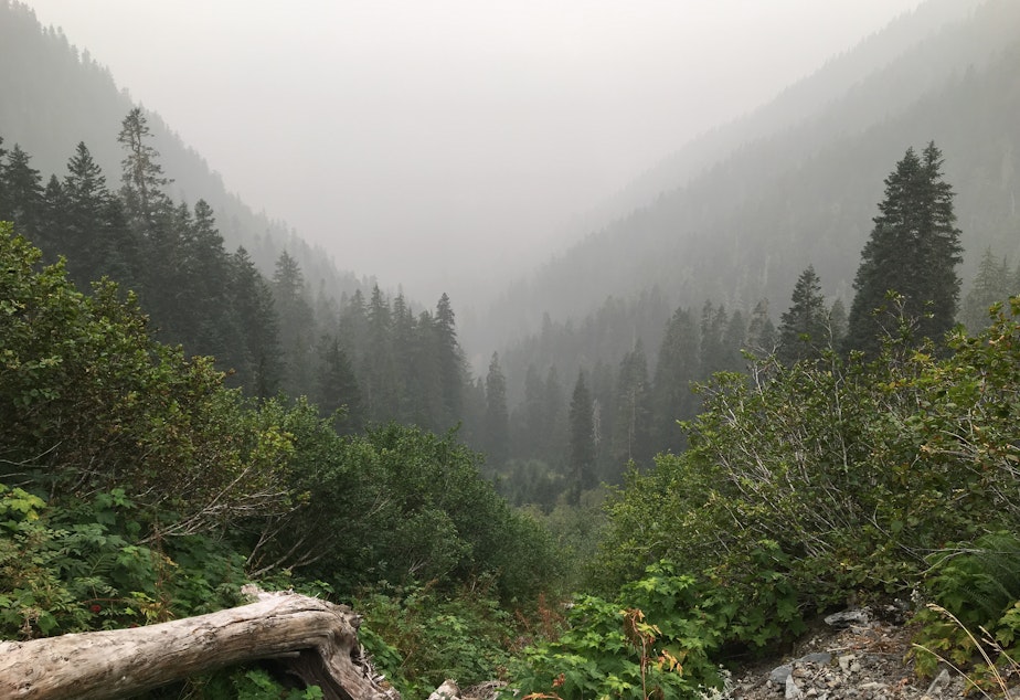 caption: Smoke from distant wildfires casts a shroud over the headwaters of the Quinault River in Olympic National Park on Sept. 12, 2020.