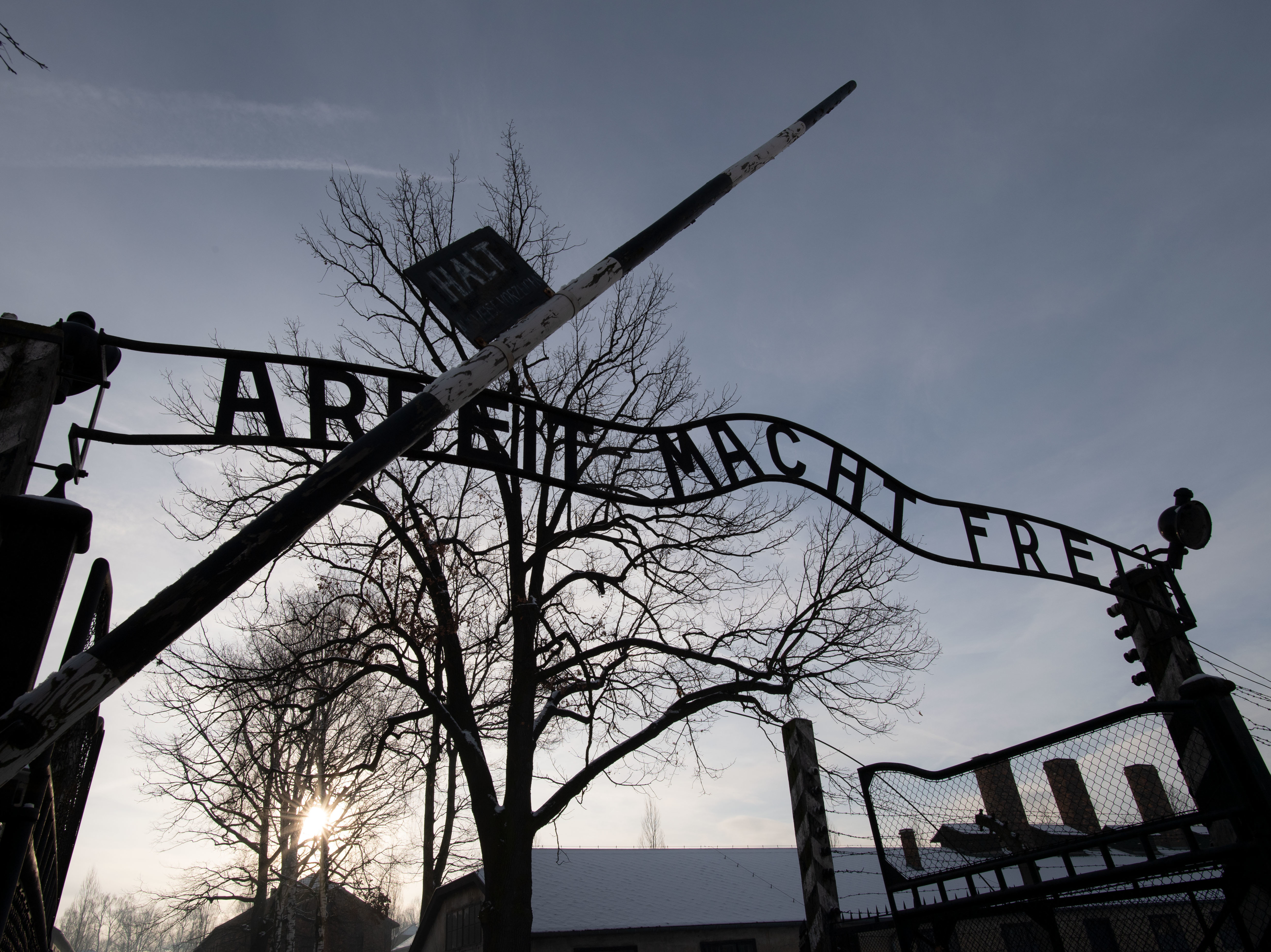 caption: Holocaust survivors visited the former Auschwitz concentration camp on International Holocaust Remembrance Day.