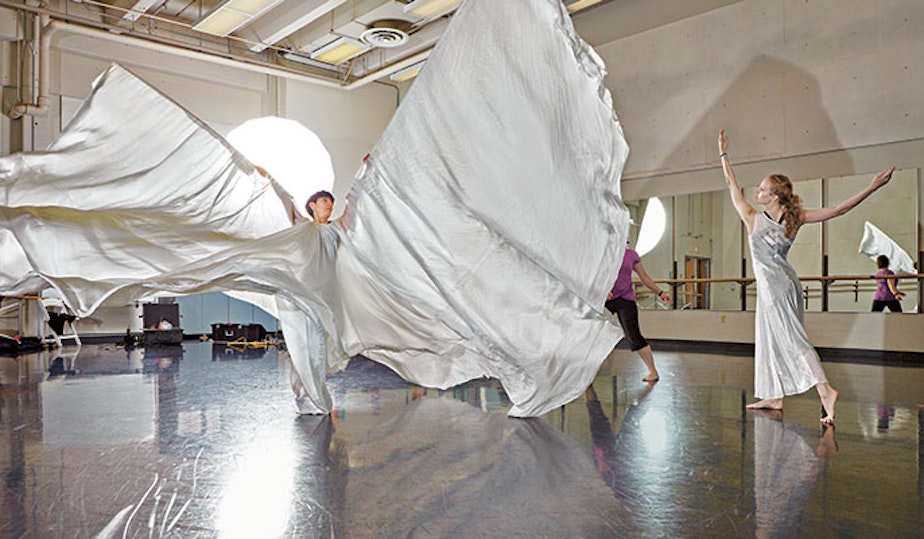 caption: A dancer and stager rehearse LoÃ¯e Fuller's 'Lily of the Nile.'