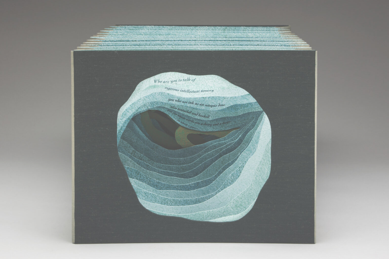 caption: Julie Chen, Flying Fish Press, Octopus