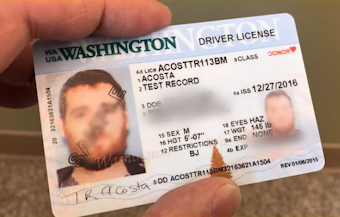 caption: A sample drivers license from a Washington state YouTube video.