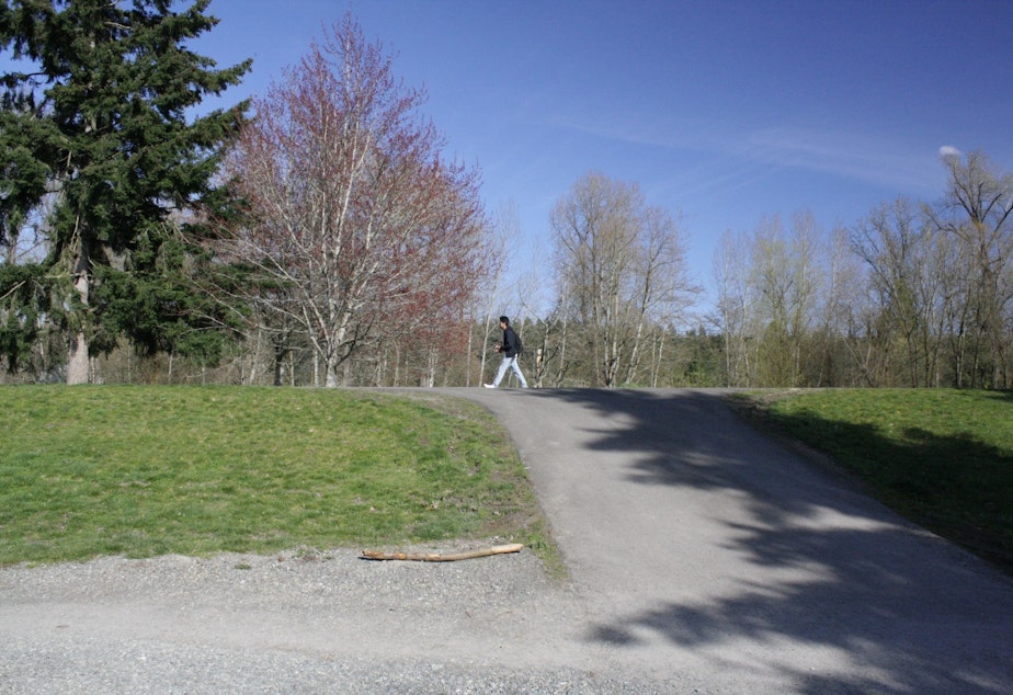 A levee in Auburn, part of the system that protects the Green River Valley from floods.