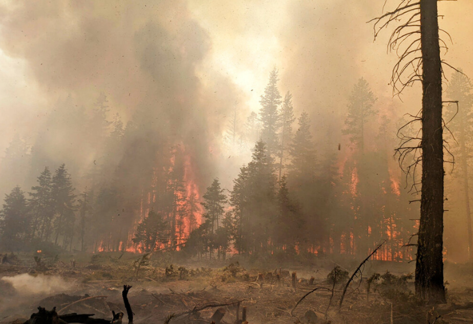 caption: In this photo provided by the Bootleg Fire Incident Command, trees burn at the Bootleg Fire in southern Oregon, Sunday, July 25, 2021. 