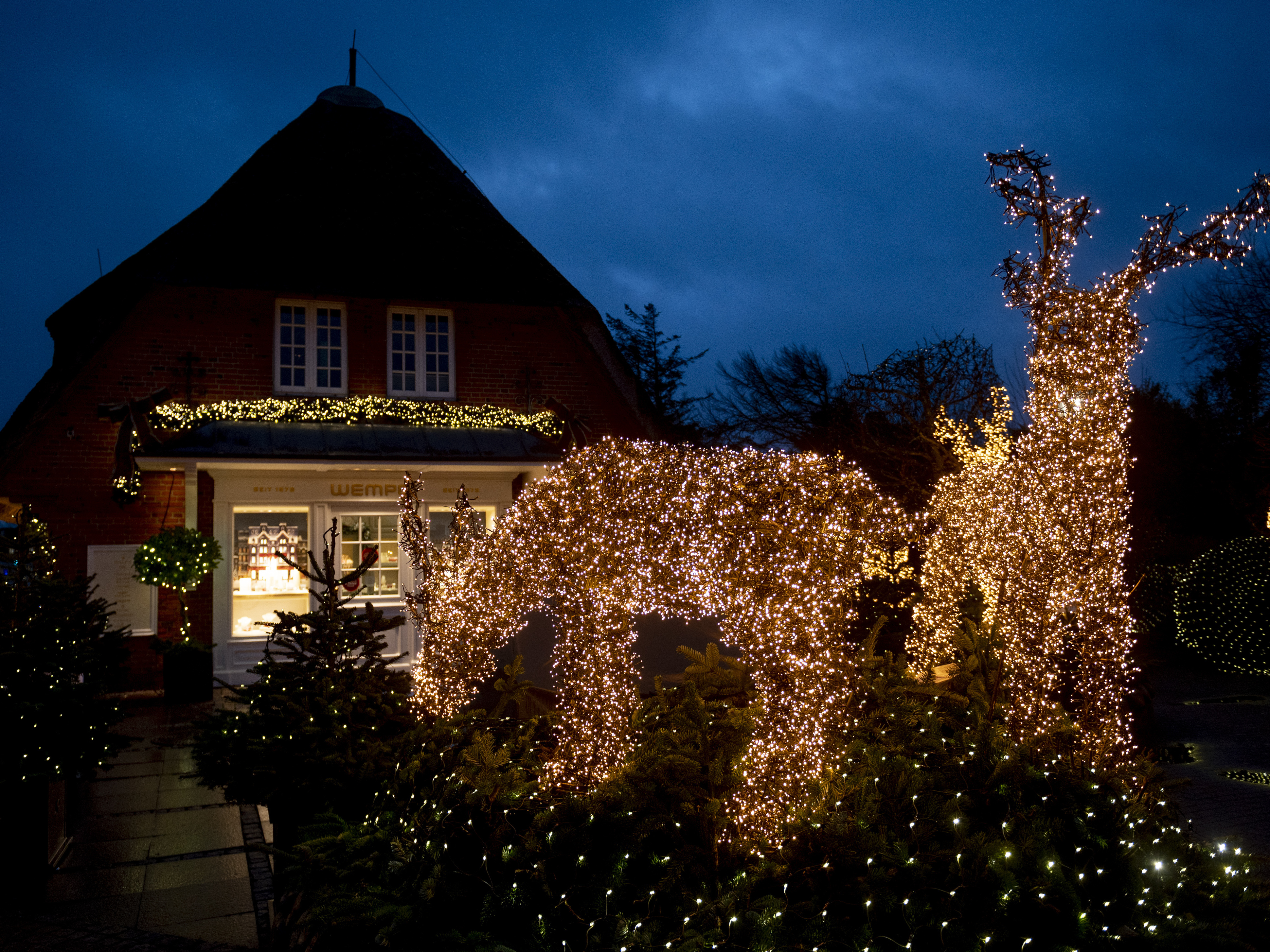 caption: With countless lights, Christmassy illuminated man-high trees and reindeer decorate the entrance of a shop