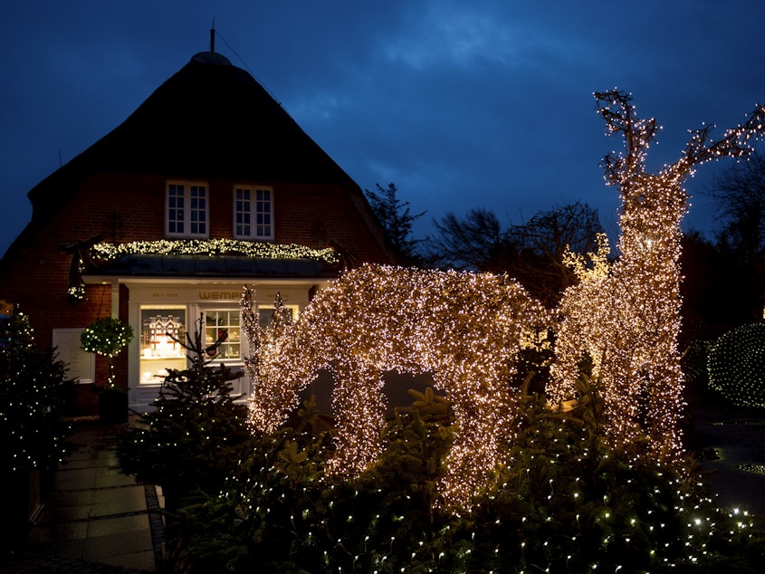 caption: With countless lights, Christmassy illuminated man-high trees and reindeer decorate the entrance of a shop
