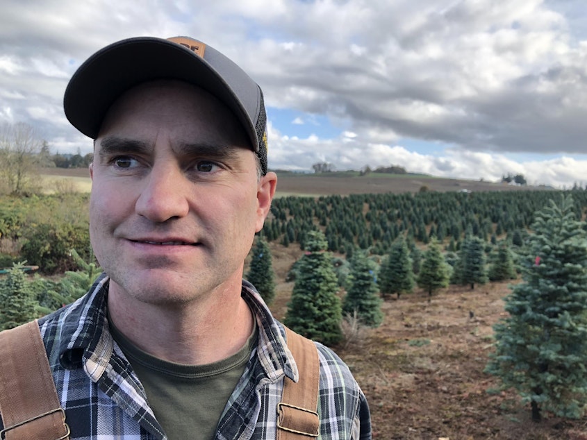 caption: Casey Grogan is owner of Silver Bells Tree Farm, 400-acres of Christmas trees, in Silverton, Ore.