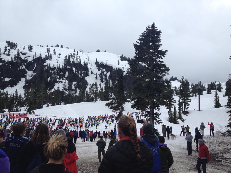 caption:  Cross country skiers line up at the start of the 2014 Ski to Sea race.