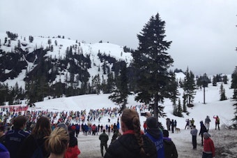 caption:  Cross country skiers line up at the start of the 2014 Ski to Sea race.