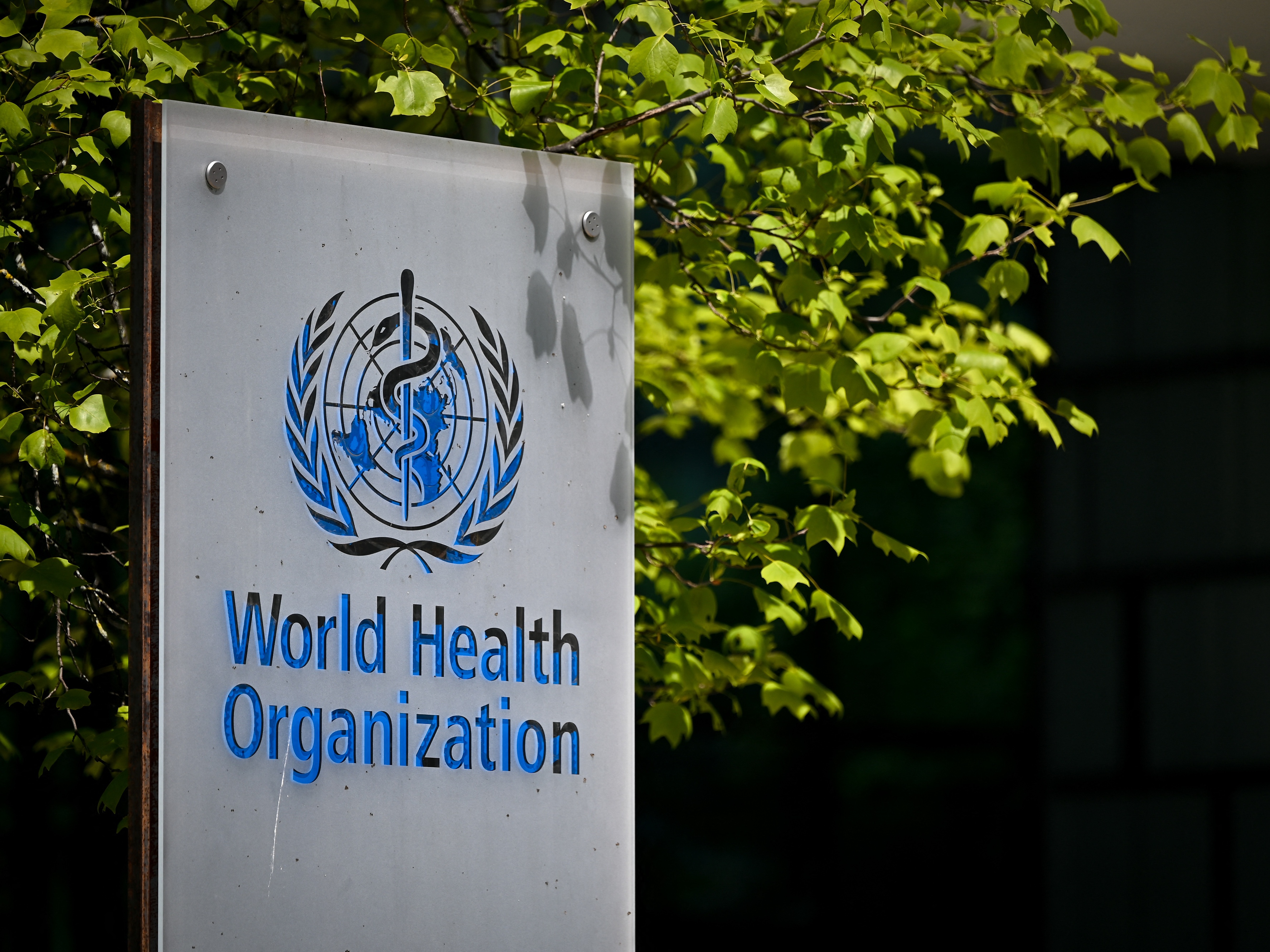 caption: On the first day of his second presidential term, President Trump announced his intention to terminate U.S. membership in the World Health Organization.