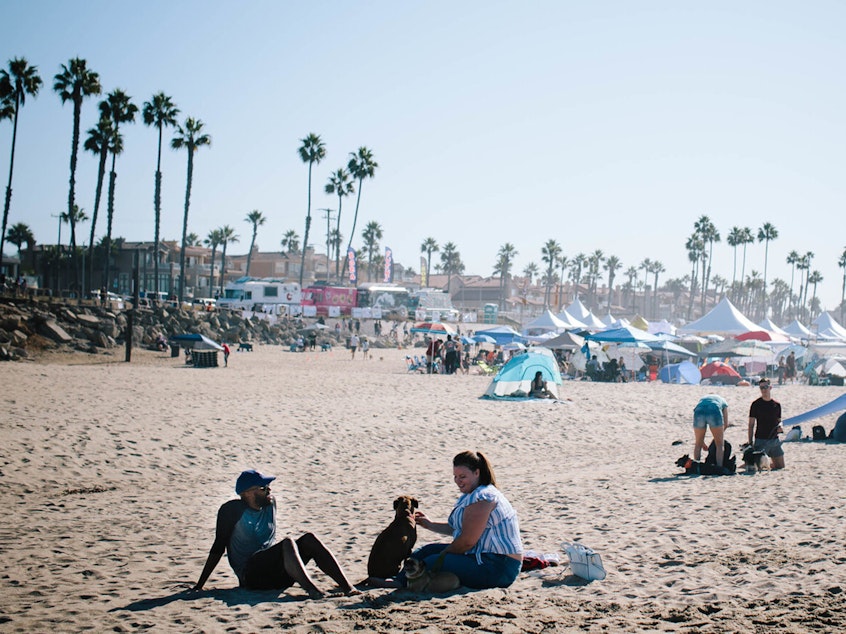 Photo of people sitting on a blanket at the beach, surrounded by palm trees and enjoying the sunny day.