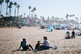Photo of people sitting on a blanket at the beach, surrounded by palm trees and enjoying the sunny day.