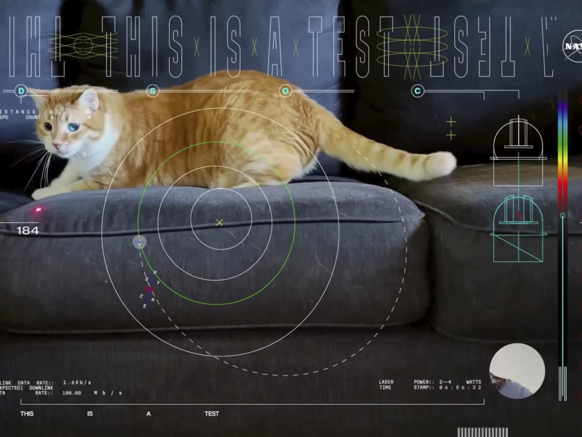 caption: This image shows a frame from a 15-second ultra-high-definition video featuring a cat named Taters which was streamed via laser from deep space by NASA on Dec. 11, 2023.