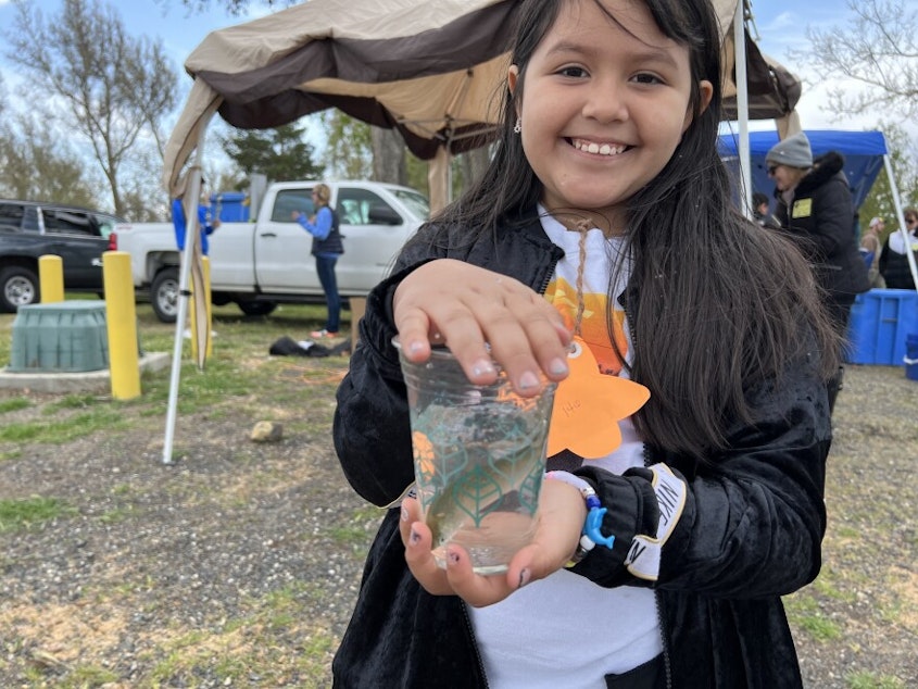 caption: Jade Ramirez-Medrano, 9, a fourth grade student at Cascade Elementary School in Kennewick, shows off a chinook salmon shortly before she releases it into the Columbia River.
