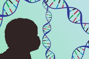 caption: New research probes the relationship between certain genes and brain disorders like autism and schizophrenia.