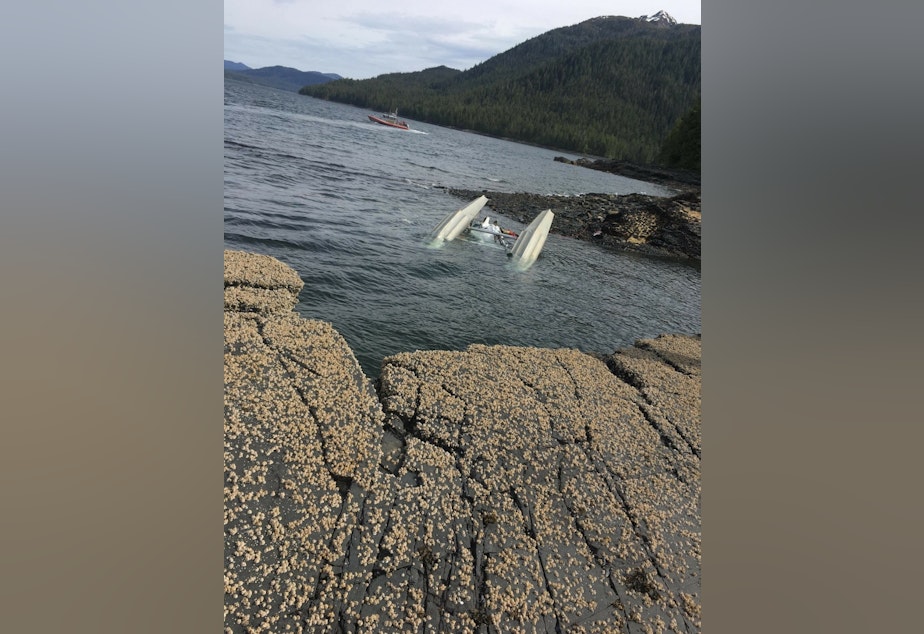 caption: A Coast Guard Station Ketchikan 45-foot Response Boat-Medium boat crew searches for survivors from downed aircraft in the vicinity of George Inlet near Ketchikan, Alaska, May 13, 2019. The Coast Guard, Ketchikan Volunteer Rescue Squad, good Samaritans and multiple other agencies have searched extensively and continue to search for survivors from the crash.