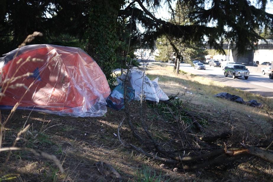 caption: A large tree prevented this tent, next to the deceased's, from also being run over.