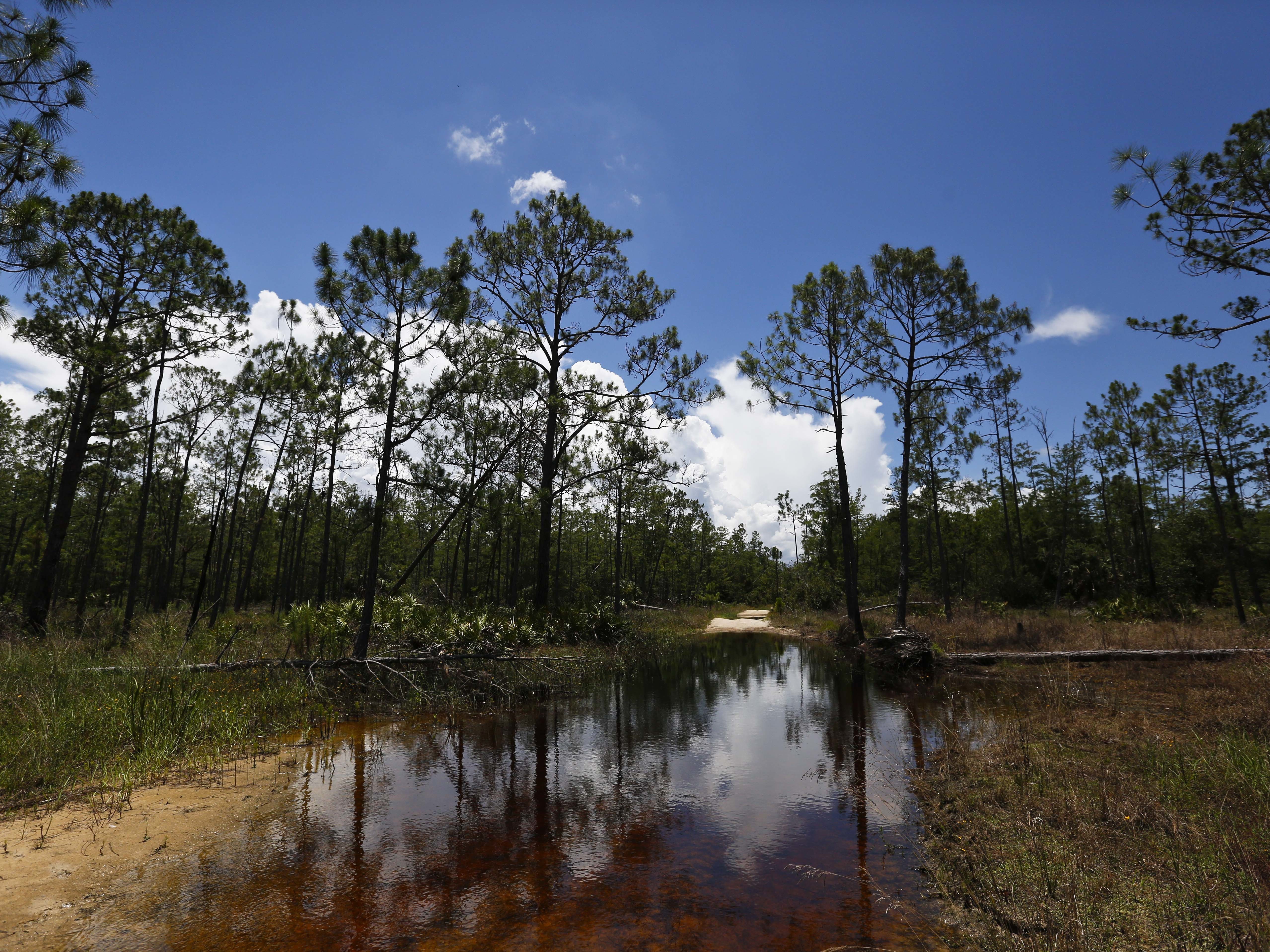 caption: The U.S. Environmental Protection Agency's new rule that would restrict the number of waterways protected under the Clean Water Act.