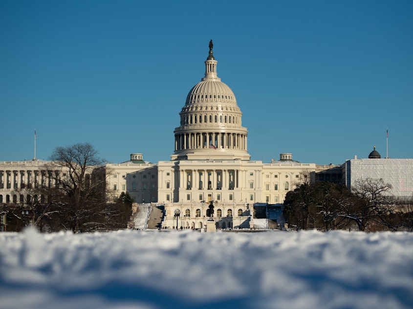 caption: The US Capitol in Washington, DC, January 14, 2019, is seen following a snowstorm.