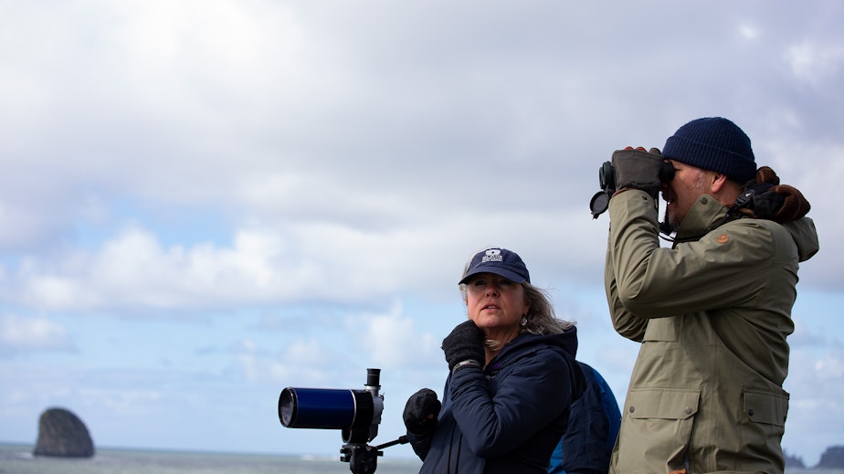 caption: Host of KUOW's "The Wild" podcast, Chris Morgan, takes part in otter observation with Dr. Shawn Larson, Curator of Research at the Seattle Aquarium.