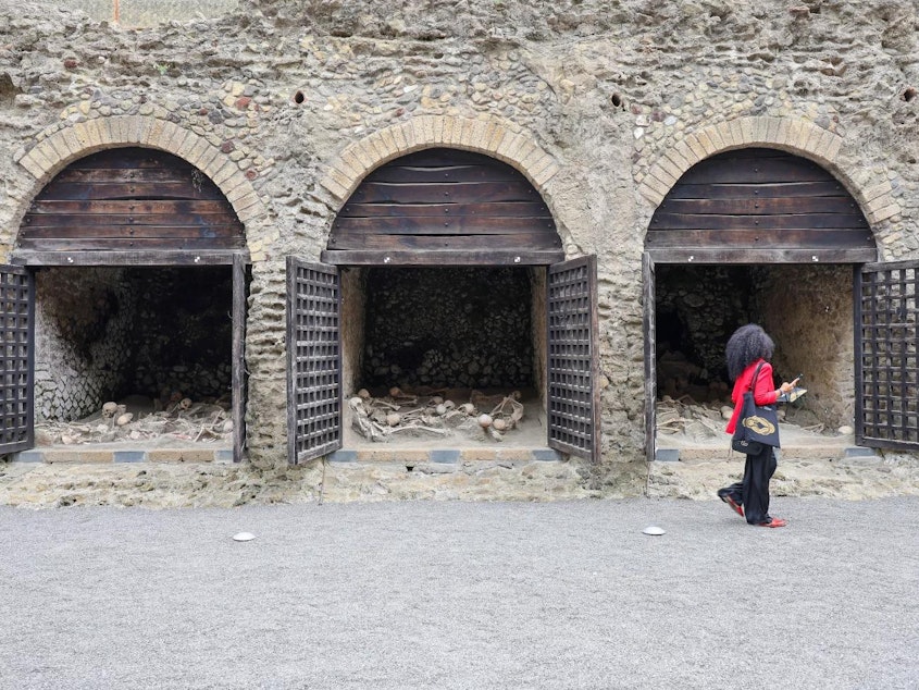 caption: A view of the skeletons of the fugitive victims of the eruption of Vesuvius in 79 AD on the ancient beach, open to the public for the first time, in the archaeological excavations of Herculaneum.